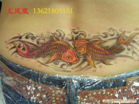 鱼-上海专业纹身