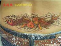 鱼-上海专业纹身