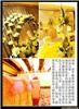 黄色系6
