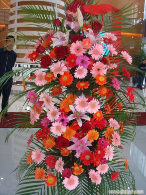 上海花卉养殖�