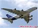 国际航空货运 