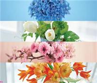 上海绿景花艺；绿景花艺