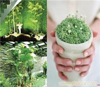 上海绿化景观设计工程