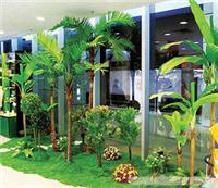 上海景观绿化设计