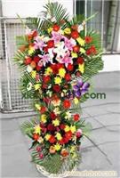 节节高-上海水果花篮-上海商务花篮-海生日花篮