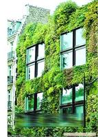 垂直绿化公司-上海垂直绿化