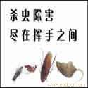 上海杀虫专业户