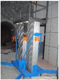 双桅柱铝合金升降机/上海铝合金升降机供应商