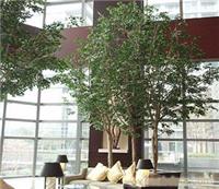 上海绿化景观规划公司 绿化景观规划