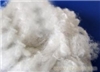 PTFE staple fiber