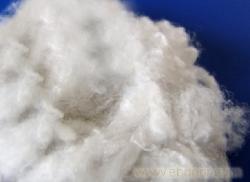 pure PTFE staple fiber made in china