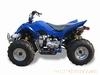 110-125CC ATV(Big Dinosaur)