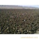 Dry chicken manure production manufacturers