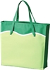 fashion shopping bag