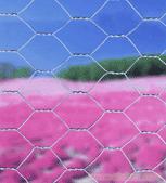 Hexagonal Wire Netting