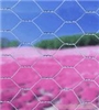 src="Hexagonal
