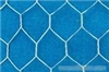 Hexagonal Wire Netting