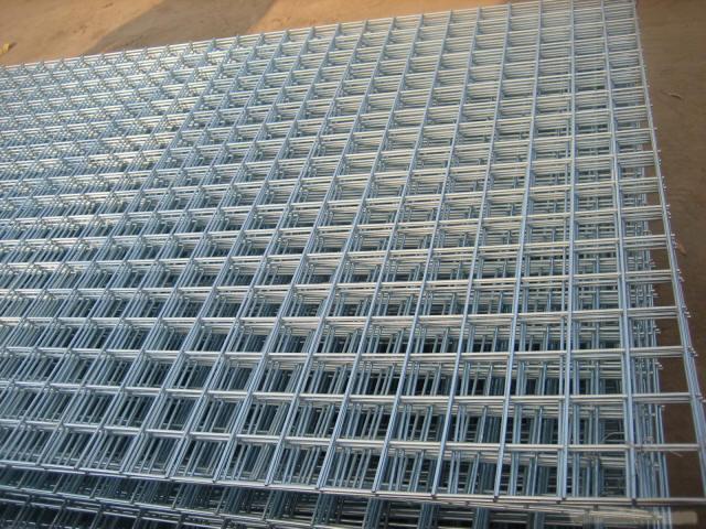 Welded Wire Mesh/ Welded Wire Mesh