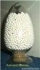 Activated Alumina