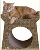 src="Cat