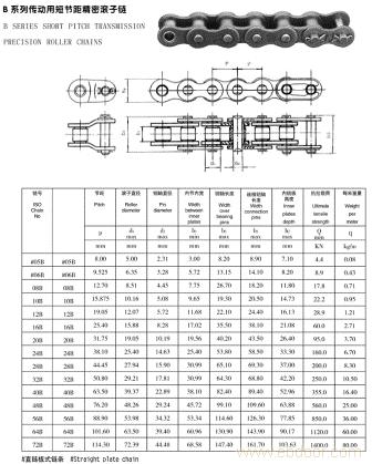 B SERIES SHORT PITCH TRANSMISSION PRECISION ROLLER