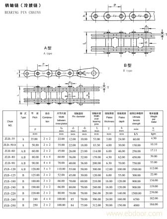 BEARING PIN CHAINS