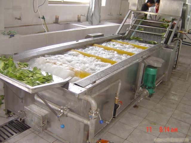 Vegetable production cleaning equipment