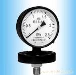 YPFA (100.150) Series Diaphragm Pressure Gauge