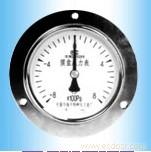 YE Series diaphragm pressure gauge