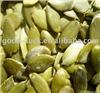 chinese snow white pumpkin seed kernels