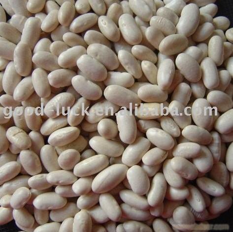 baishake type white kidney beans