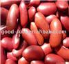 British dark red kidney bean