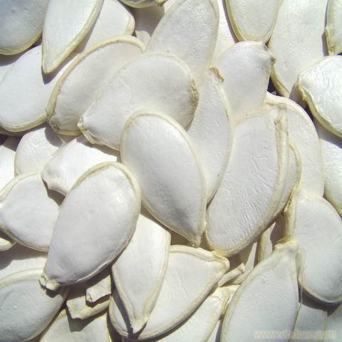 chinese white pumpkin seeds