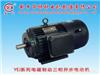 YEJ series electromagnetic brake motors