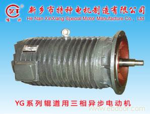 YG series roller motor