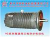 YG series roller motor