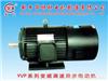 YVP series frequency motor