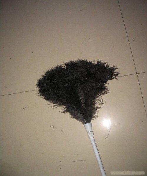 OSTRICH FEATHER DUSTER