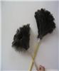 OSTRICH SHRINKAGE OSTRICH FEATHERS MAOCHEN DUST,