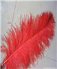 Ostrich hair decorations