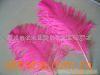 Colored ostrich feather scarf