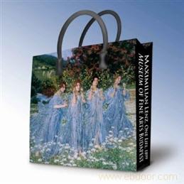 gift bag printing, transfer printing, digital prin