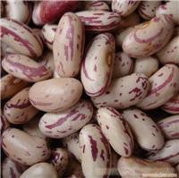 Dalian milk spent kidney beans price