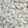 white pumpkin seeds wholesale-Heilongjiang