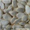 Baoqing supply of white pumpkin seeds