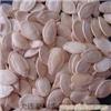 Baoqing supply of white pumpkin seeds