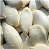 Heilongjiang white pumpkin seeds wholesale