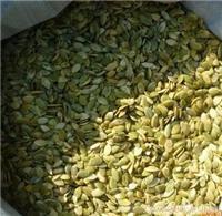 white pumpkinseeds planted - white pumpkin seeds