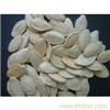 Baoqing County, white pumpkin  seeds