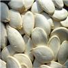 Heilongjiang Baoqing white pumpkin seed price